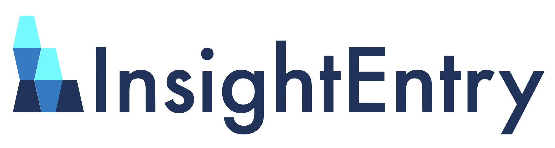 InsightEntry